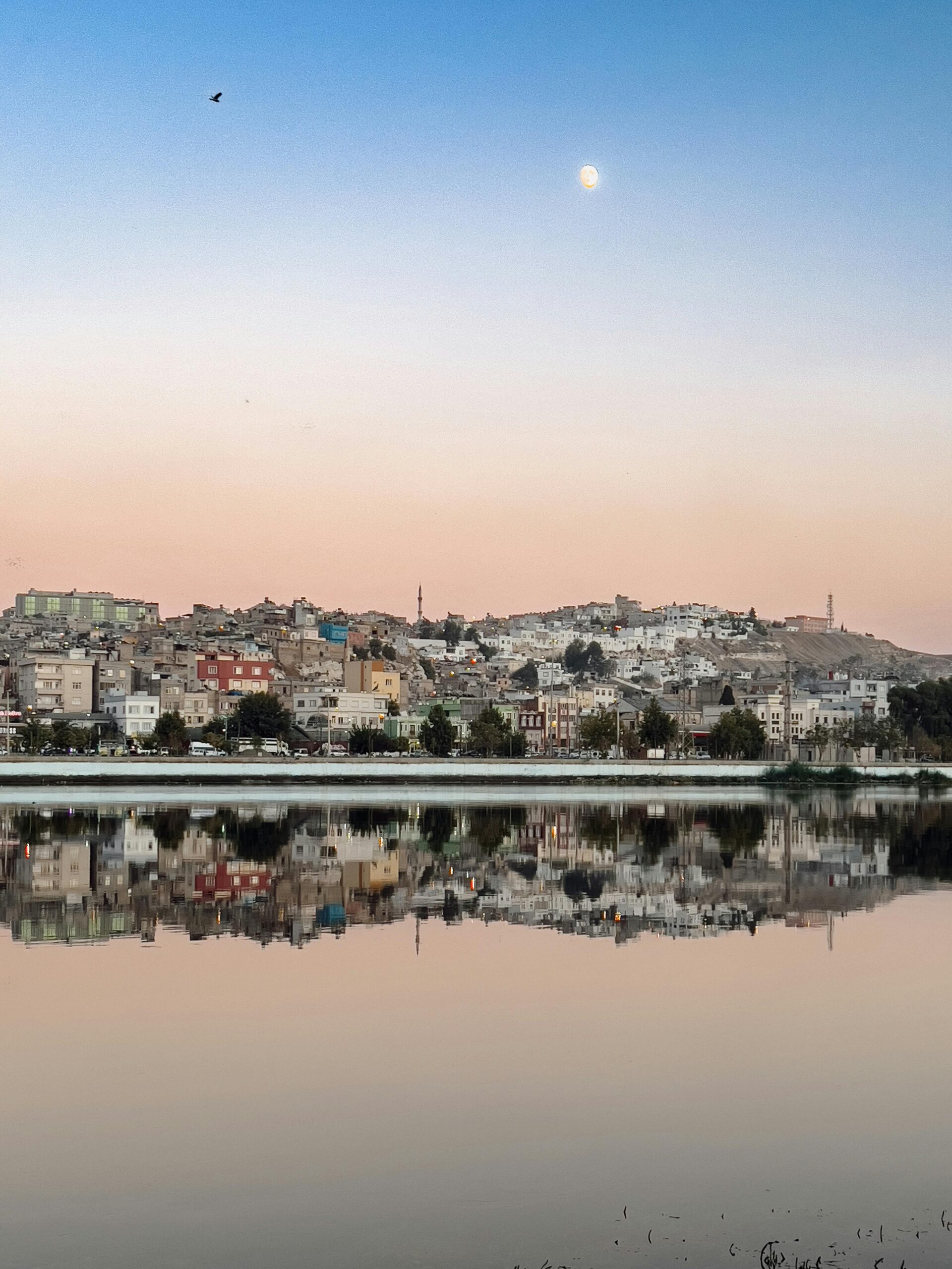 Tanger port méditerranée - Agence SEO H&Y Way