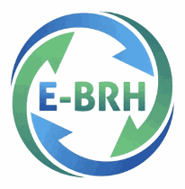 Logo E-BRH sur charte de marque